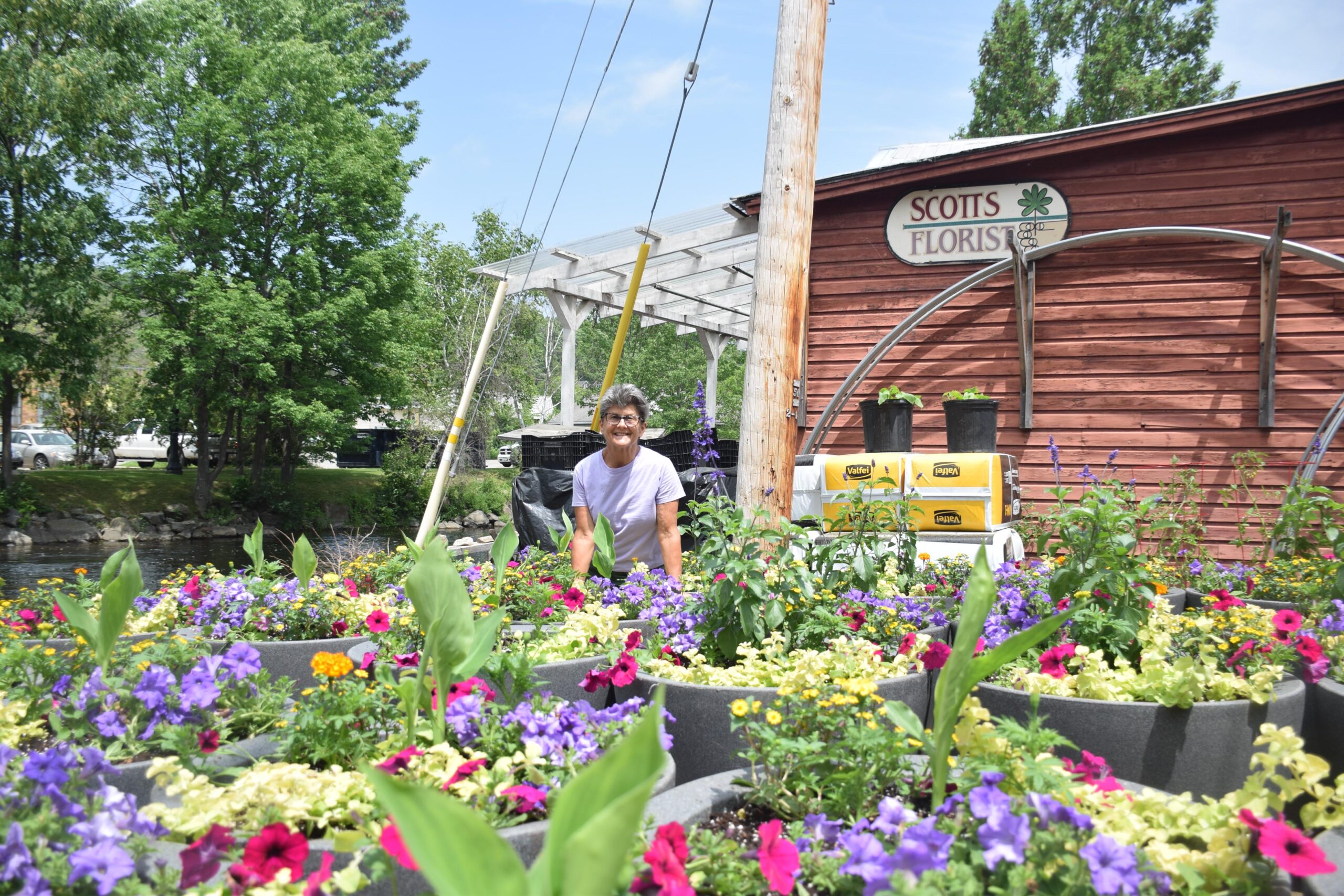 A florist’s flourish News, Sports, Jobs Adirondack Daily Enterprise